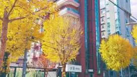 Suncheon Dan Ggum Stay