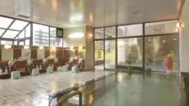 鬼怒川溫泉慵懶之宿花千鄉