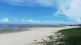 Cabochon Camp