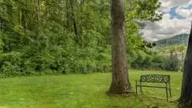 Best Western Asheville -Blue Ridge Parkway