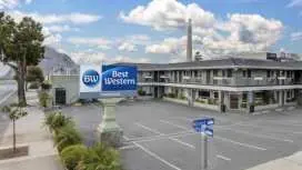 Best Western Tradewinds