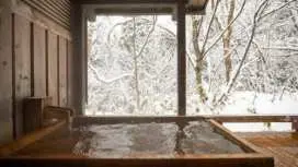 奧飛驒溫泉美山櫻庵度假村
