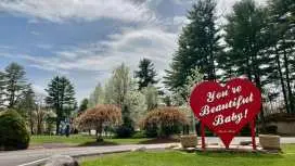 Paradise Stream Resort