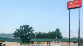 이코노 로지