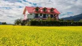 Tao Heung Garden Bed and Breakfast