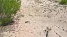 Casa al Porticciolo Campomarino Lido vicino Termoli