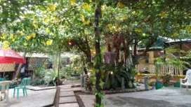 Enna's Place