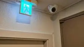 Parvus Sella Seongsu