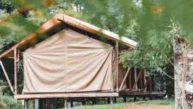 Silk Pavilions