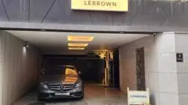 LEBROWN