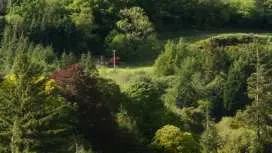 Home Farm