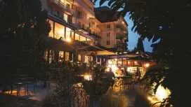 The Cambrian