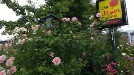 Ilam Motel