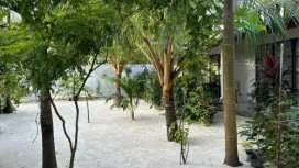 Boli Villa Thoddoo