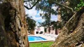 New! Premium Finca, Cala d ́Or, with Starlightpool!