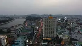 ゴールデン チューリップ エッセンシャル ナムガン (Korea Quality)