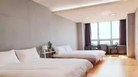 가평 트리하우스