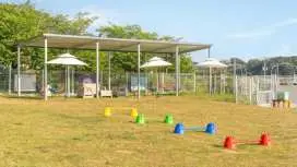 yeosu canada meo  village pet pension