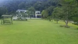 귀래630 애견풀빌라