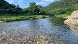 Yang yang Sanjang Love Story