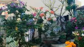 LOAN ANH HOMESTAY