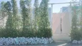 7號別墅泳池