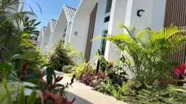 ซิลเวอร์ทรี รีสอร์ท Silvertree Resort