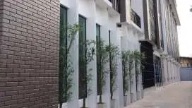 โรงแรมสําราญชายโขง