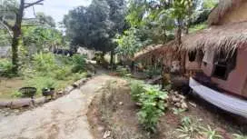 Bamboo Hut Resort and Restaurant