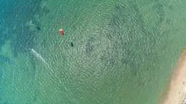 Ratatouille Guesthouse Koh Phangan