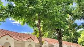 Dad D Resort by Lopburi Inn Resort