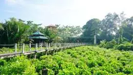 甲拋峇底的3臥室公寓 - 1100平方公尺/2間專用衛浴