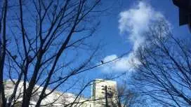 新潟縣苗場酒店