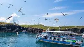 펑후 동해섬 호핑 일일 여행 | 칠경섬 & 산호초 낚시, 스노클링 & 바다 카누 치터우 관광안내소 출발 |