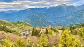 신주 데이 투어 | 산 위의 사람들. 진용 DIY 농장. 장쉐량 옛집|타이베이에서