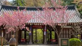 [KKday Special] Namiseom Hotel Jeonggwanru Accommodation Voucher (Main Building Jeonggwanjae / Annex Tutubyeoljang)