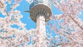 대구 이월드 자유이용권