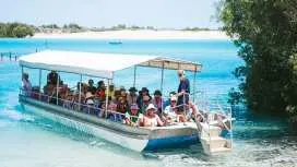 Willie Creek Pearl Farm & Cruise Tour in Broome | Australia