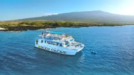 Dolphin Watching & Snorkeling with Breakfast & Lunch | Hawaii