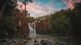 [Eco Tour] Falls to Paradise Waterfall  Day Tour|Queensland