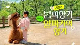 홍천 알파카월드 입장권(당일사용가능/방문1시간전구매필수)