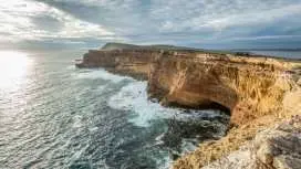 【生態遊】艾爾半島林肯港一日遊|南澳大利亞