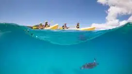 Byron Bay Dolphin Kayaking Tour | New South Wales