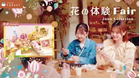 アカオフォレスト(ACAO FOREST 【10%オフ】前売りチケット)(静岡県 熱海市・ワークショップ)
