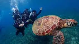 [Guaranteed tour] Pingtung Xiaoliuqiu|Island Nitrogen Diving|Scuba Diving Experience diving (no license required)