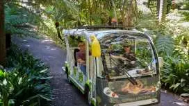 Minibus Ride: The Explorer at Royal Botanical Gardens Melbourne | Victoria