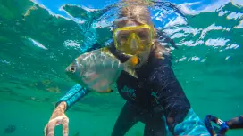 布里斯班天阁露玛沉船浮潜一日游