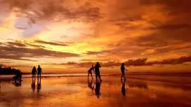 코타키나발루 뚜아이 반딧불 투어