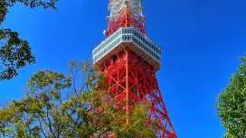 亞洲航空・高雄出發|東京 5 日計劃機票+自選方案|早去午回・1 人成行含行李