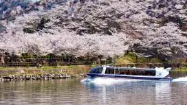 Tour tham quan Công viên Di tích Lâu đài Takato ở Nagano & Du thuyền Hẻm núi Ena - Tour ngắm hoa anh đào mùa xuân trong ngày | Khởi hành từ Nagoya